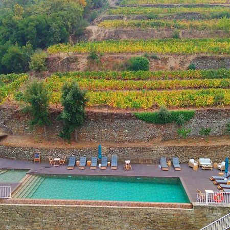 Quinta De Travassinhos- Douro Valley & Spa Santa Marta de Penaguião Zewnętrze zdjęcie