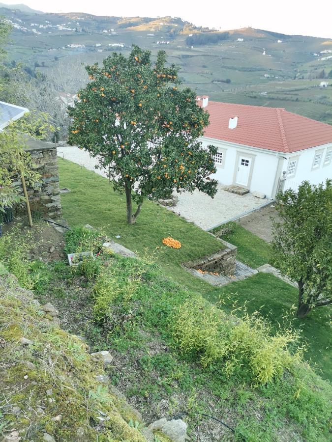 Quinta De Travassinhos- Douro Valley & Spa Santa Marta de Penaguião Zewnętrze zdjęcie