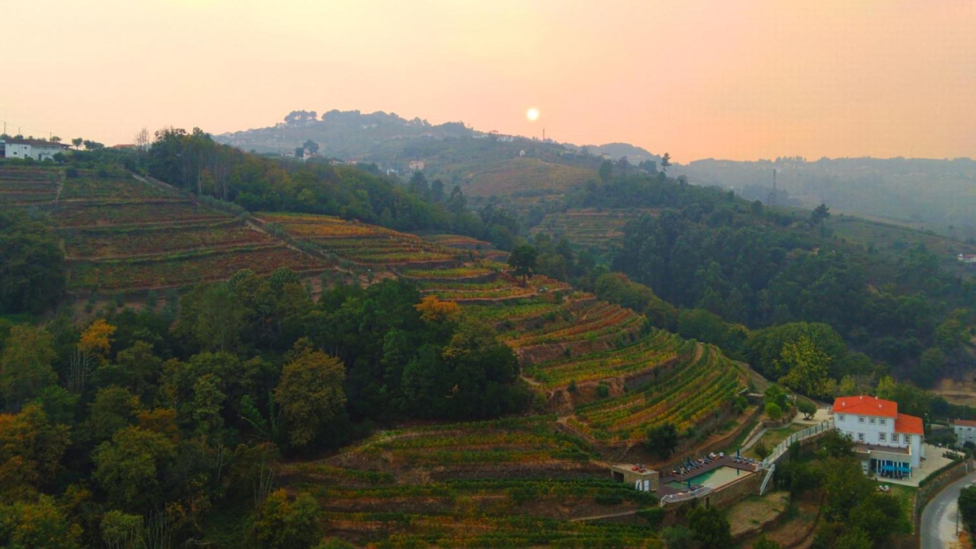 Quinta De Travassinhos- Douro Valley & Spa Santa Marta de Penaguião Zewnętrze zdjęcie