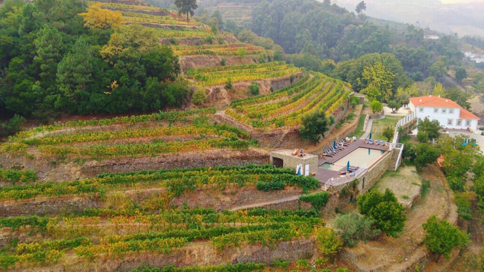 Quinta De Travassinhos- Douro Valley & Spa Santa Marta de Penaguião Zewnętrze zdjęcie